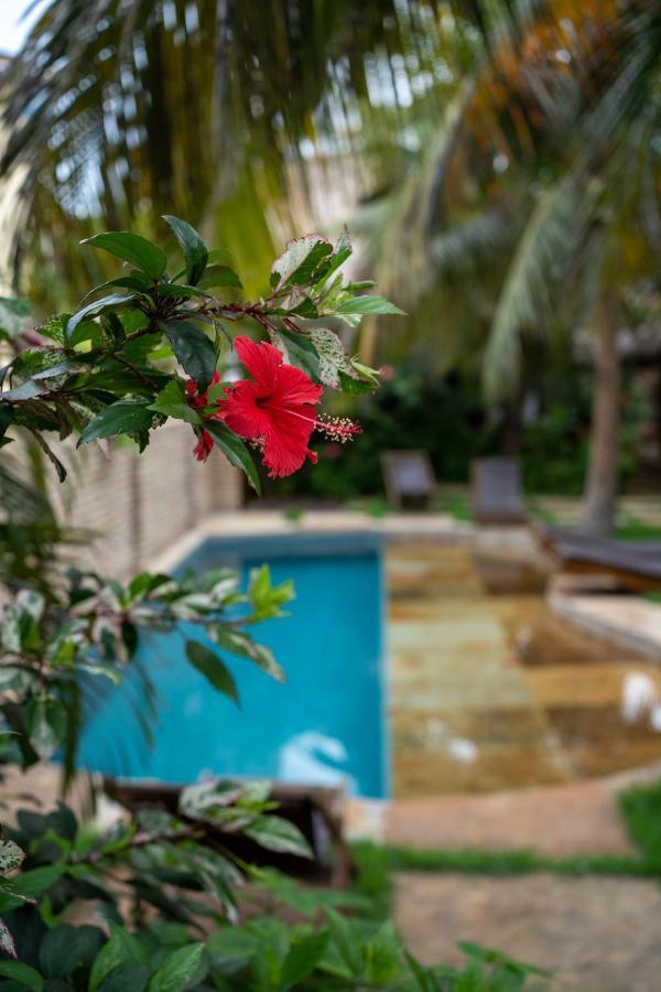 Casa Fufi Hotel Jijoca de Jericoacoara Exterior photo